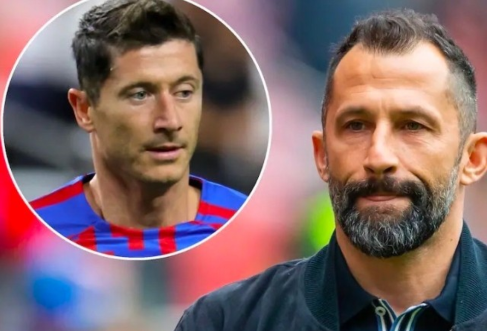 示了他们的 示了他们的