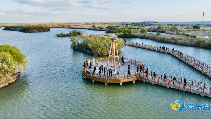 科曼作為巴 科曼作為巴