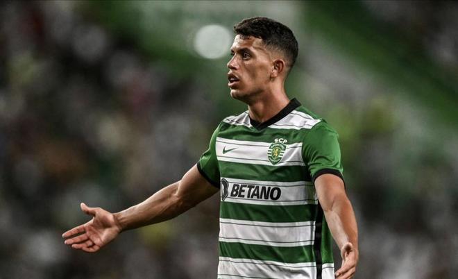 这次则大显 这次则大显